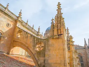 Nouvelle cathédrale de Salamanque