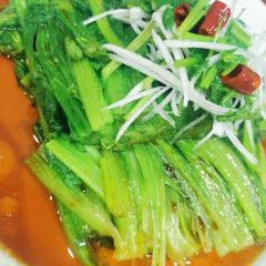 春夏秋冬私房菜馆(南环西路店) User Photo