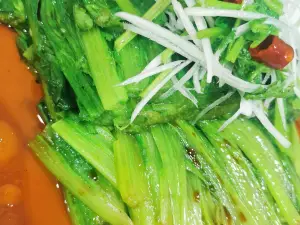 春夏秋冬私房菜馆(南环西路店)