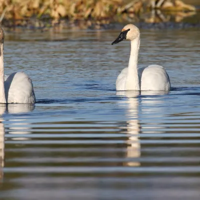 Мини-отели в г. Цяншань