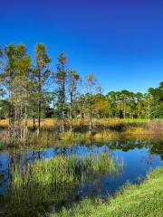 Harmony Golf Preserve