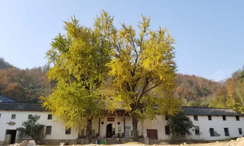 Dalongshan National Forest Park