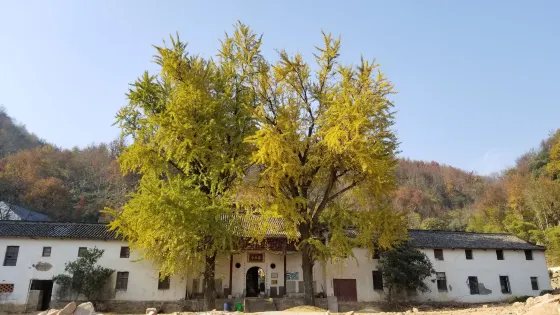 大龍山烏龍溪景區