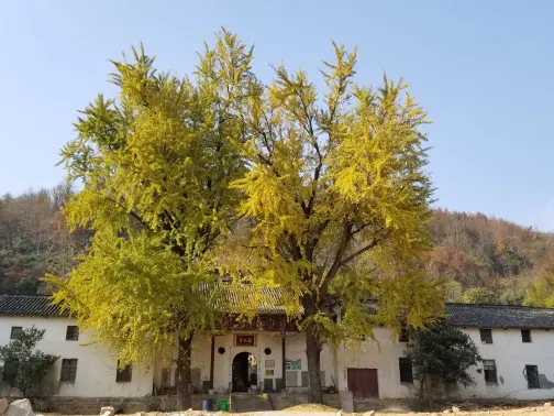 大龍山烏龍溪景區