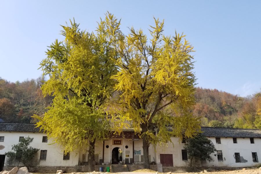 大龍山烏龍溪景區