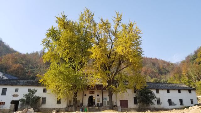 Dalongshan Wulongxi Scenic Area