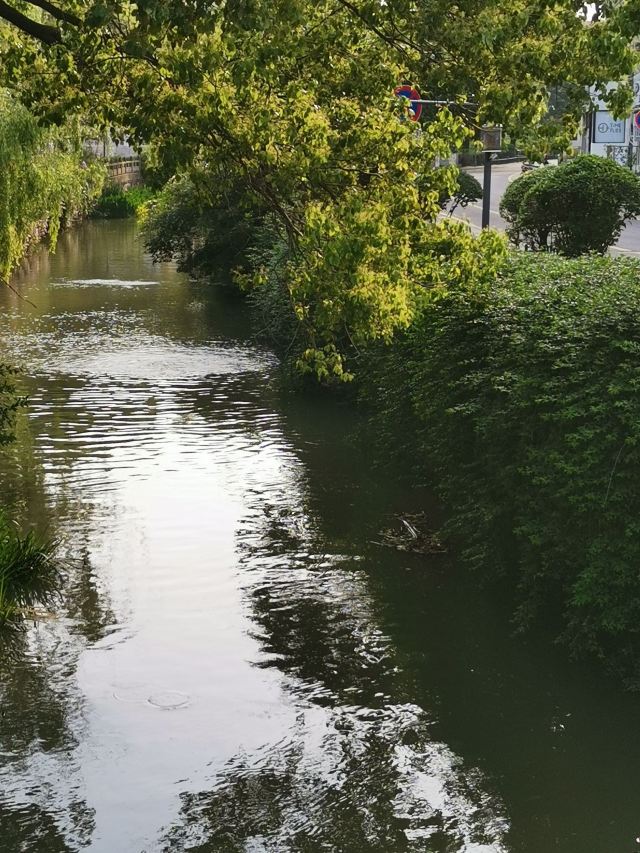 Tinglin Park