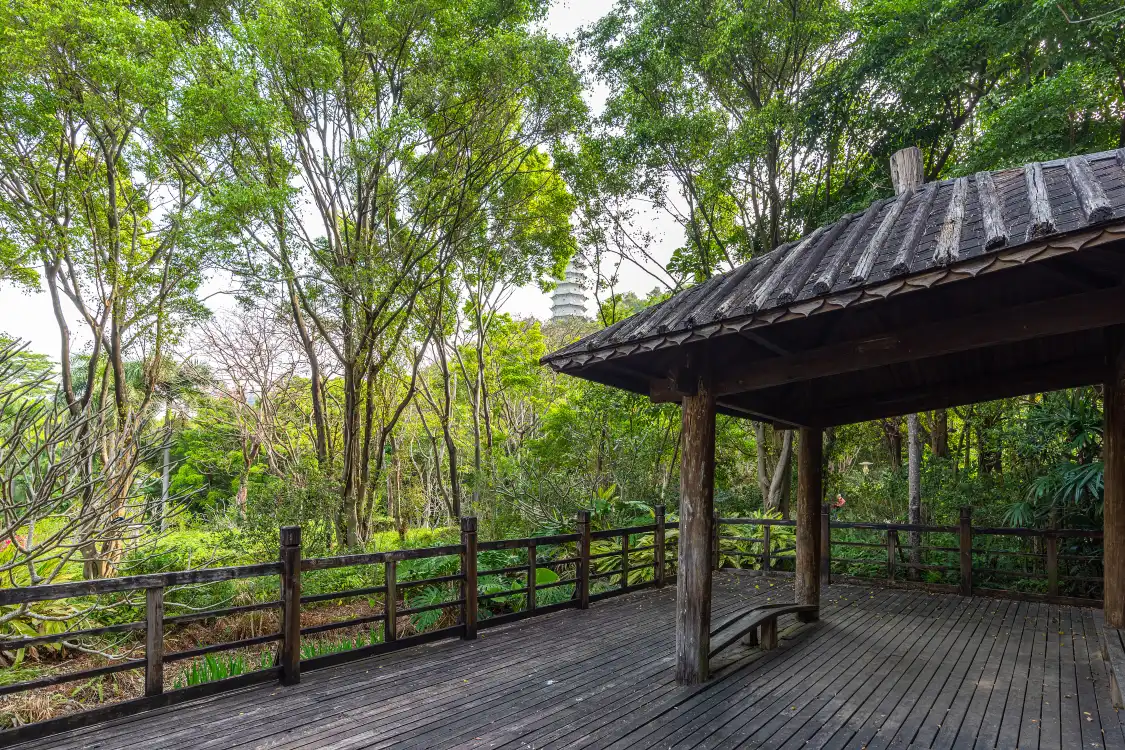 Hotels near Ningcui Garden