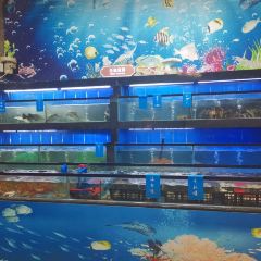 SHENGYI SEAFOOD BUFFET User Photo