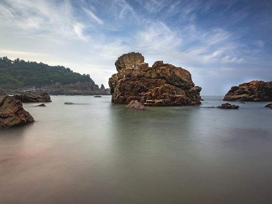 Dongsha Fishing Port