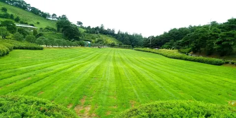 凡山牧場