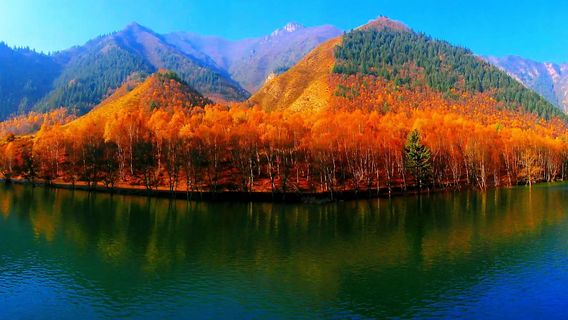 Xianmi National Forest Park Juyang Gully Scenic Area