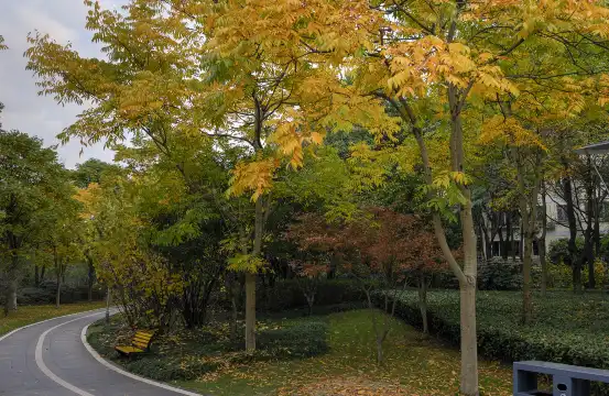 月亮湾公園周辺のホテル