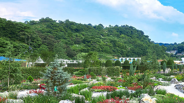 A Cluster · World Garden