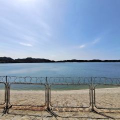 金鼎鱼香生态渔村 User Photo