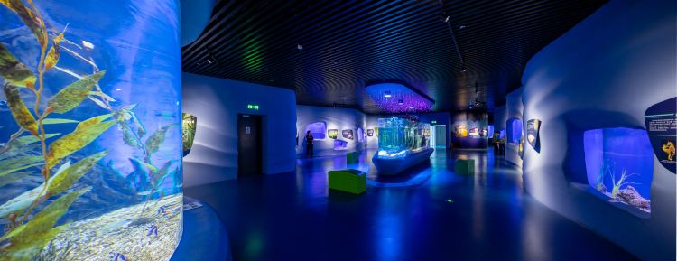 Guojiahaiyang Museum