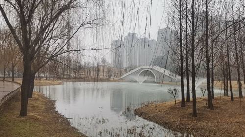 Xiaonanhu Wetland Park