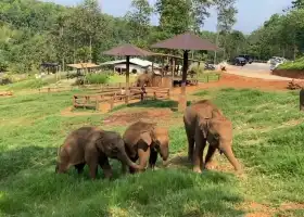 大象咖啡莊園