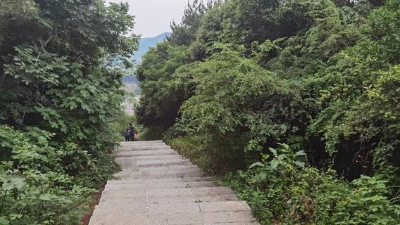 Ziyang District