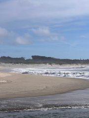 Praia de Vila Praia de Âncora