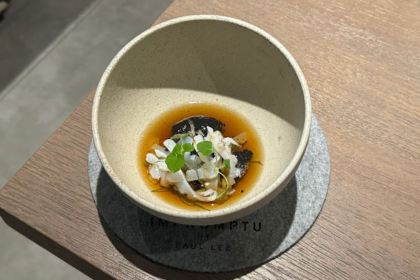 IMPROMPTU BY PAUL LEE