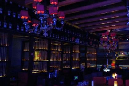 Dark Forest CRAFTBEER TRIBE