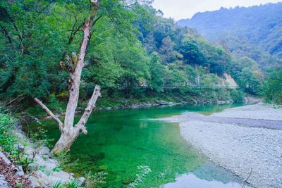 Yangba Natural Scenic District