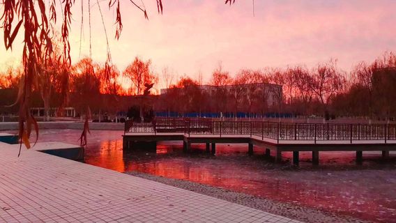 มหาวิทยาลัยทาริม