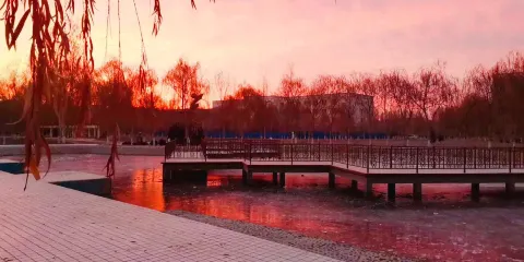 塔里木大學