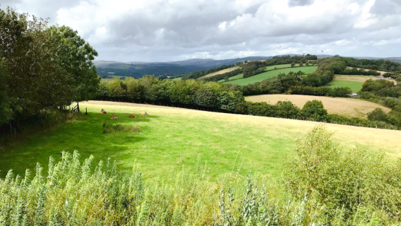Devon