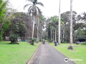 Summit Municipal Park