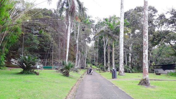 Summit Municipal Park