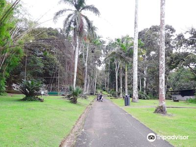 Summit Municipal Park