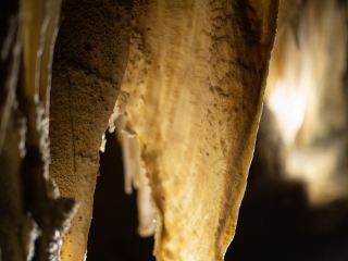 懷託摩洞穴 1日遊 行程 規劃