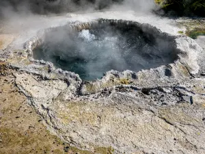 Te Puia - Rotorua, NZ