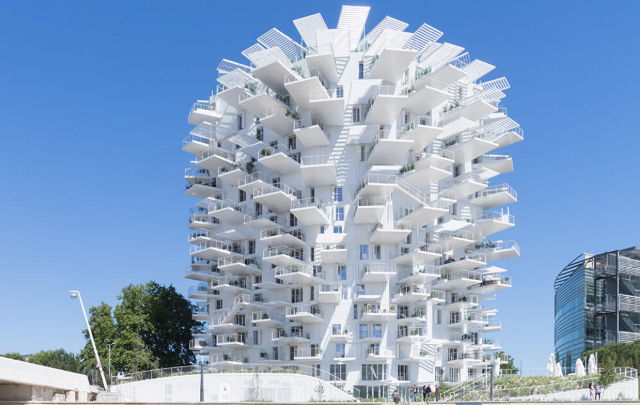 Sou Fujimoto's Architecture: Primitive, Future, Forest | Mori Art Museum