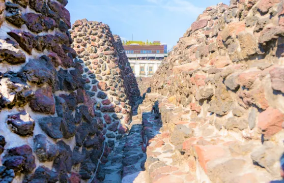 大神廟門票成人