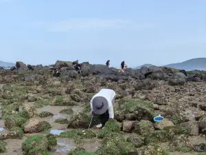 ตามล่าหาสมบัติชายหาดที่ผิงถัน