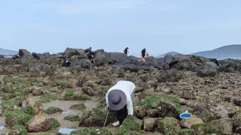 Beach Treasure Hunting in Pingtan County attraction in Pingtan County