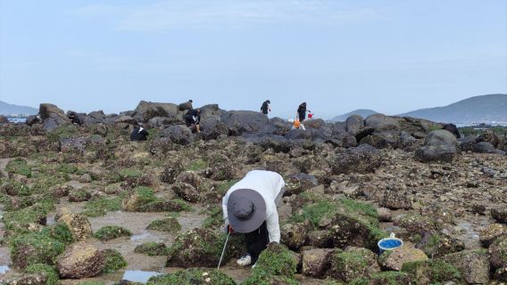 Beach Treasure Hunting in Pingtan County