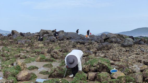 ตามล่าหาสมบัติชายหาดที่ผิงถัน