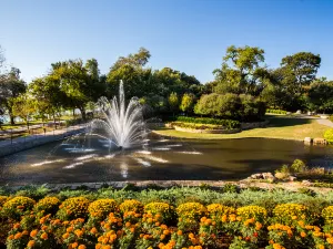 Giardini botanici di Dallas