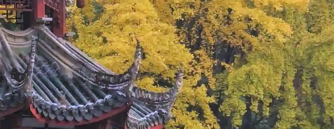 Attrazioni per la visione autunnale