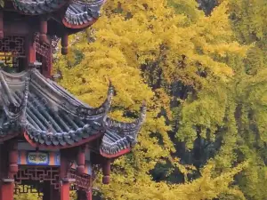 Popular Fall Viewing Attractions in Guanghan