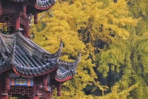 Fanghu Park