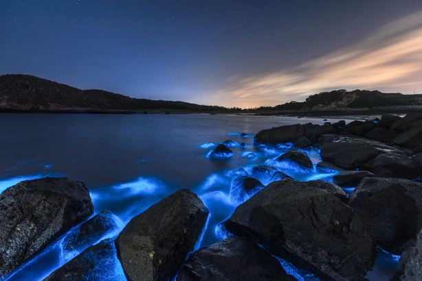 Pingtan Blue Tears Viewing Spot