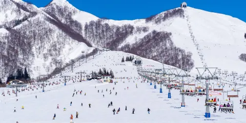 岩原滑雪場