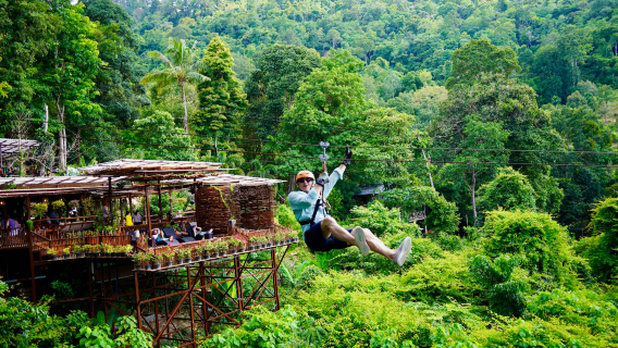 Tree Bridge Zipline Samui