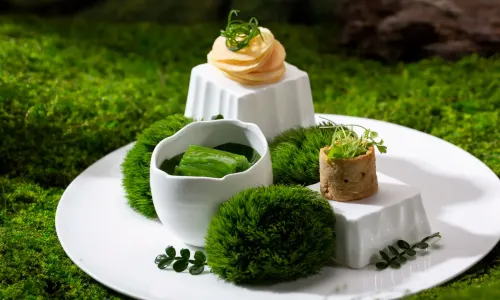Plant Mean Vegetarian Feast