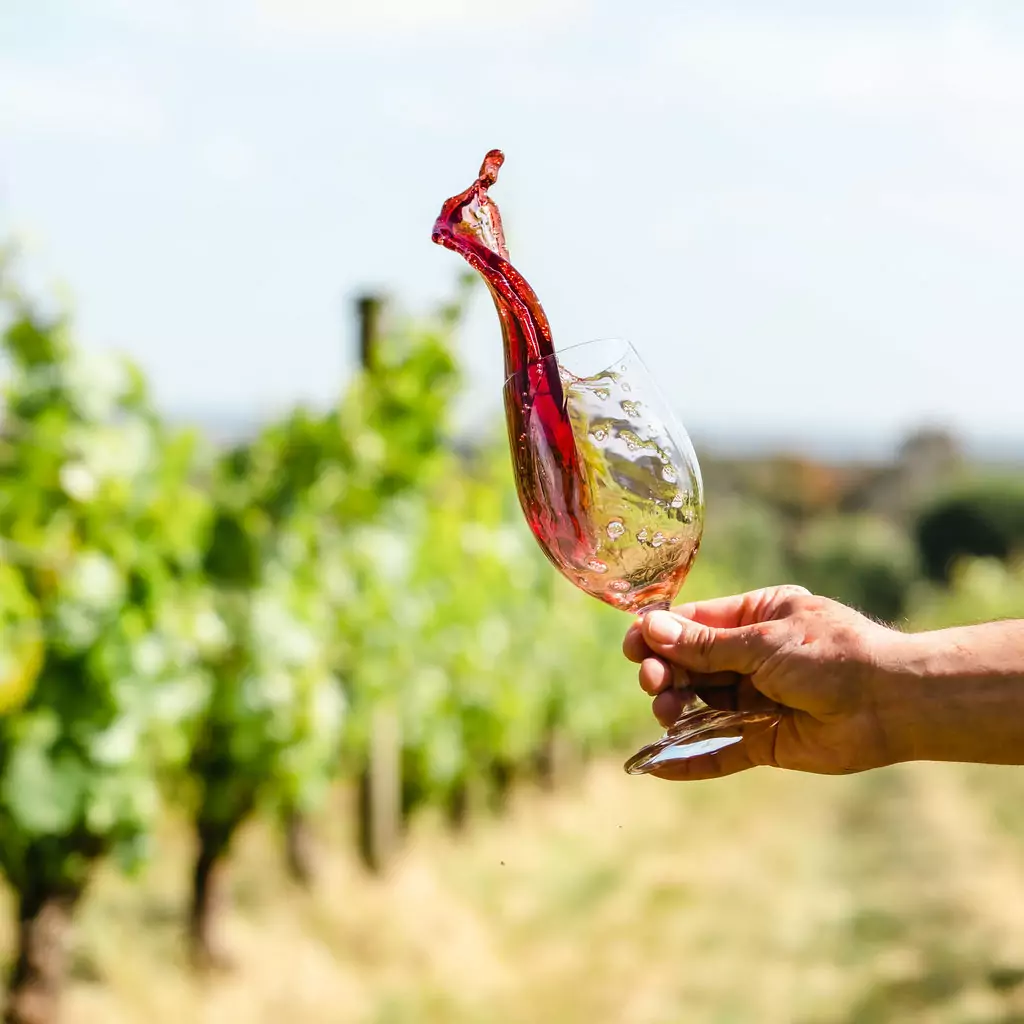 The Continental Winter Wine & Jazz | Sorrento